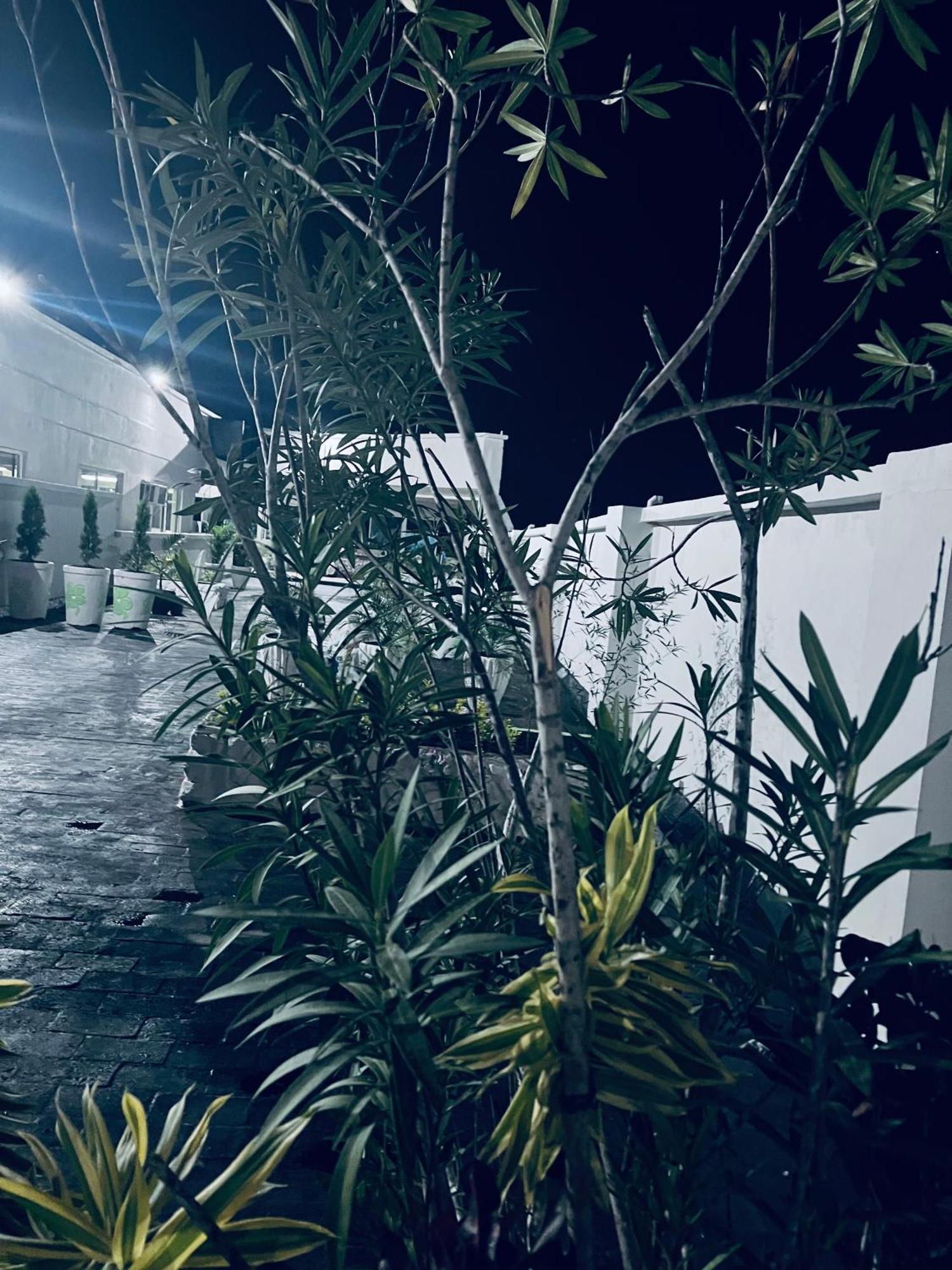 Los Guacamayos La Ceiba Kültér fotó